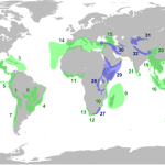 Biodiversity Hotspots