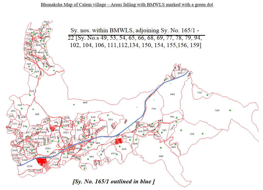 Bhunaksha map of new Kalay survey 165/1